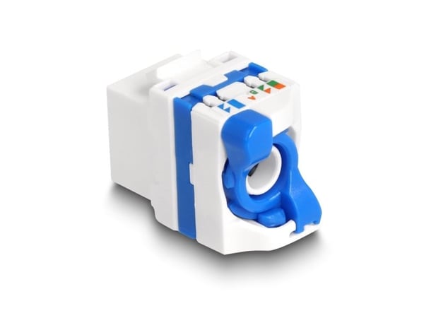 Delock - Keystone module - RJ-45 (hunn) til LSA (hunn) - UTP - CAT 6a - snap-in - hvit, blå
