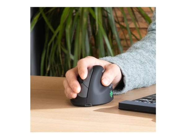 R-Go Ergonomic mouse HE Break - Vertikal mus - ergonomisk - small, AGR certified, for hand size ?165 mm - høyrehendt - optisk - 5 knapper - trådløs...