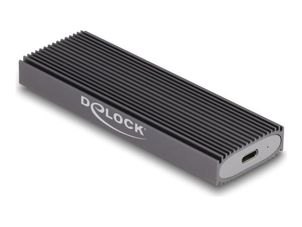 Delock - Lagringspakke - M.2 - M.2-kort (PCIe NVMe &amp; SATA) / SATA SSD - USB-C 3.1 (Gen 2) - grå