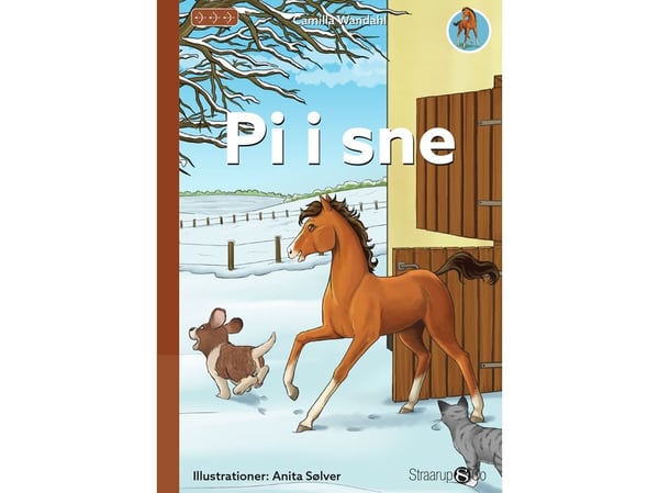 Pi i snö | Camilla Wandahl