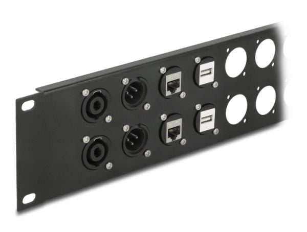 Delock - Kopplingspanel (tom) - D-typ - rackmontering - svart - 2U - 19" - 24 portar