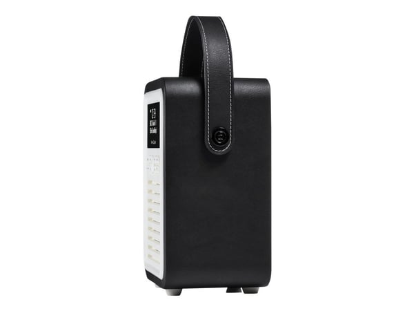 ViewQuest Retro Mini - Bærbar DAB-radio - 5 watt - svart