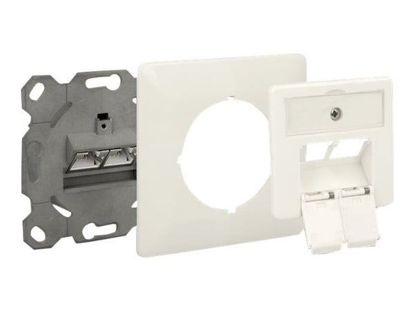 Delock Modular Wall Outlet flush mount 2 Port Cat.6A LSA - Uttag för nedsänkt montering - CAT 6 - STP - RJ-45 X 2 - 1-gang