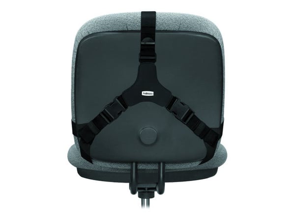 Fellowes professional back support (8037613)