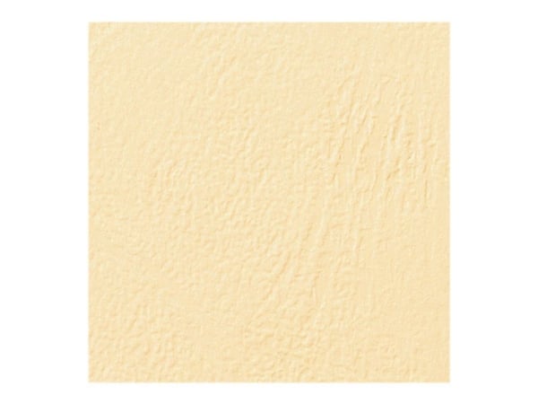 GBC LeatherGrain - A4 (210 x 297 mm) - elfenben - 250 g/m² - 100 stk permomslag GBC LeatherGrain - A4 (210 x 297 mm) - elfenben - 250 g/m² - 100 stk permomslag