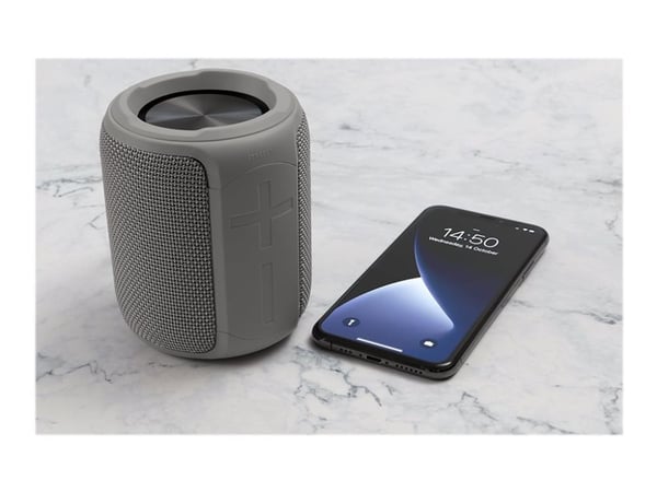 STREETZ CM766 - Høyttaler - for bærbar bruk - trådløs - Bluetooth - 10 watt - grå