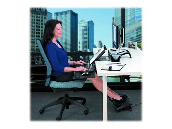 Fellowes professional back support (8037613)