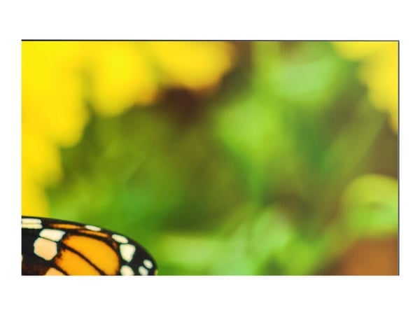 NEC MultiSync UN552S - 55" Diagonal klass LED-bakgrundsbelyst LCD-skärm - digital skyltning - 1080p 1920 x 1080 - direktupplyst LED