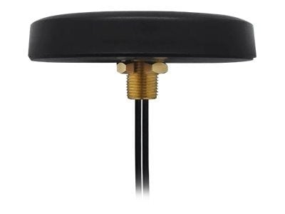Teltonika - Antenne - mobiltelefon - 2,5 dBi (hoved), 2 dBi (aux) - takmonterbar, skruemontering - for Teltonika RUT200, RUT956