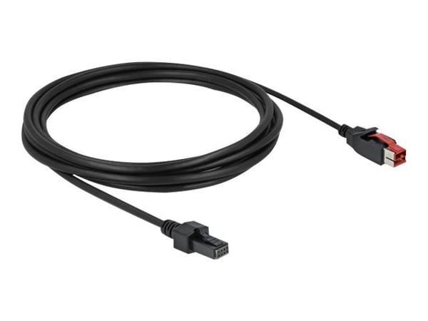 Delock - Strømforsynt USB-kabel - USB PlusPower (24 V) (hann) til 4-pins mini-DIN (hann) - 24 V - 3 m - svart