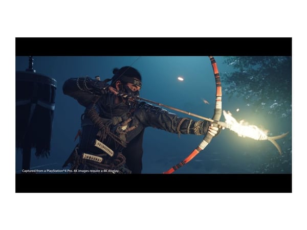 Ghost of Tsushima Director's Cut - PlayStation 5