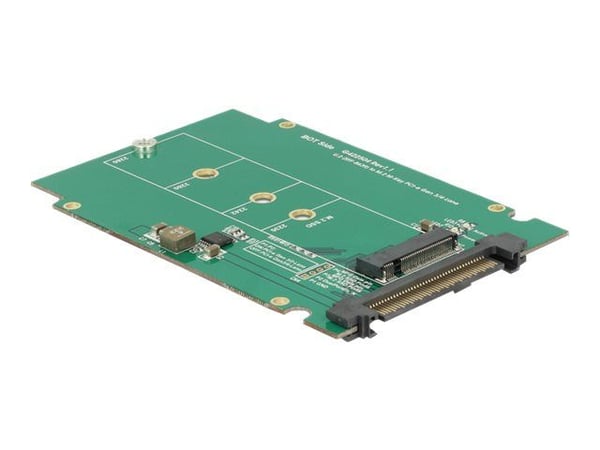DeLock Converter U.2 SFF-8639 > M.2 NGFF NVMe Key M - Lagringssporadapter - 6,4 cm til M.2 (2.5" til M.2) (62710)