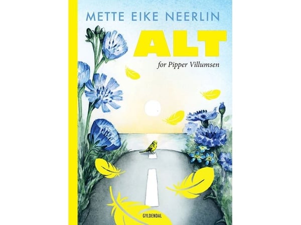 Allt för Pipper Villumsen | Mette Eike Neerlin | Kieli: Tanska