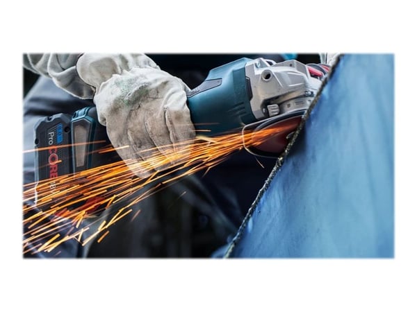 Bosch Expert R781 - Slipeskive - for rustfritt stål, stål - 5 stk - 125 mm - kornstørrelse: 80 - for GWX Professional 750-125