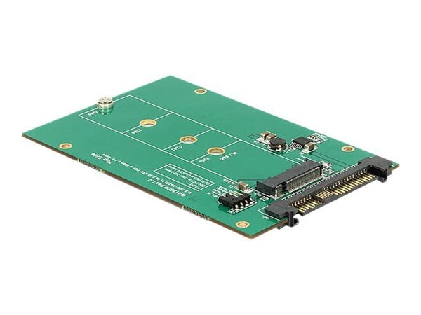 DeLock - Oppbevaringssporadapter - 6,4 cm til M.2 (2.5" til M.2) (62696)
