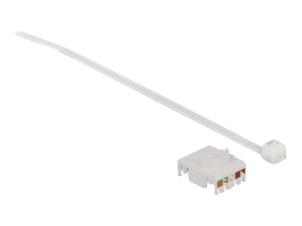 Delock - Nettverksadapter - RJ-45 (hunn) til LSA - STP - CAT 6a - svart, rød