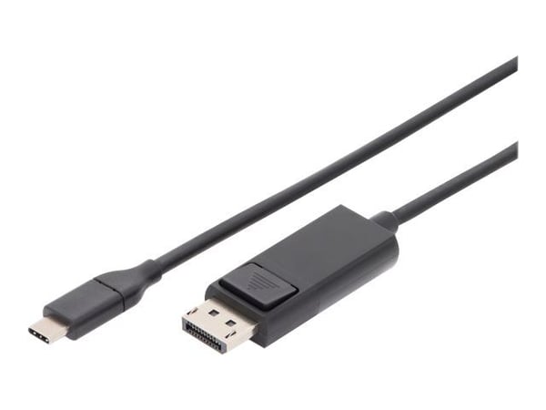 Assmann Electronic ASSMANN USB Type-C Gen 2-adapter C til DP via DP