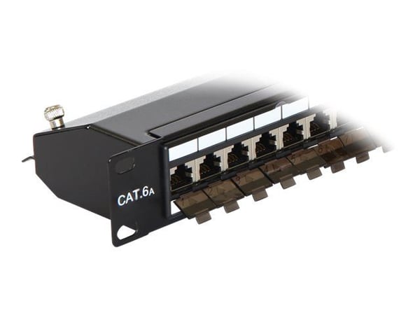 Delock - Koblingspanel - CAT 6a - RJ-45 X 24 - kullsort, RAL 9005 - 1U - 19"