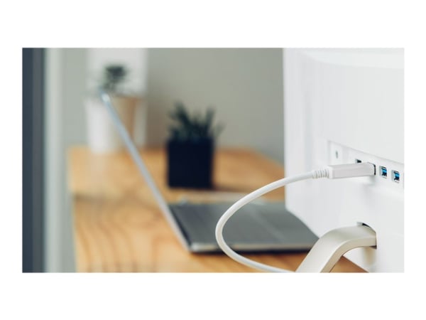 Moshi - DisplayPort-kaapeli - USB-C (uros) - DisplayPort (uros) - Thunderbolt 3 / DisplayPort 1.3 - 1,5 m - 5K-tuki - valkoinen - valkoinen