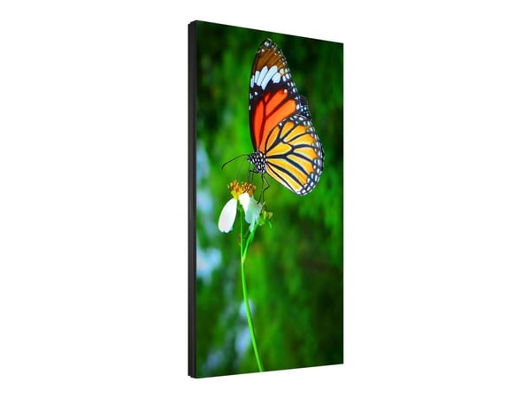NEC MultiSync UN552S - 55" Diagonal klass LED-bakgrundsbelyst LCD-skärm - digital skyltning - 1080p 1920 x 1080 - direktupplyst LED