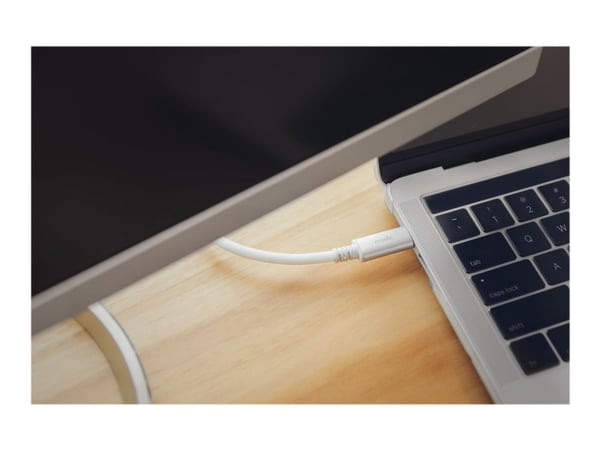 Moshi - DisplayPort-kaapeli - USB-C (uros) - DisplayPort (uros) - Thunderbolt 3 / DisplayPort 1.3 - 1,5 m - 5K-tuki - valkoinen - valkoinen