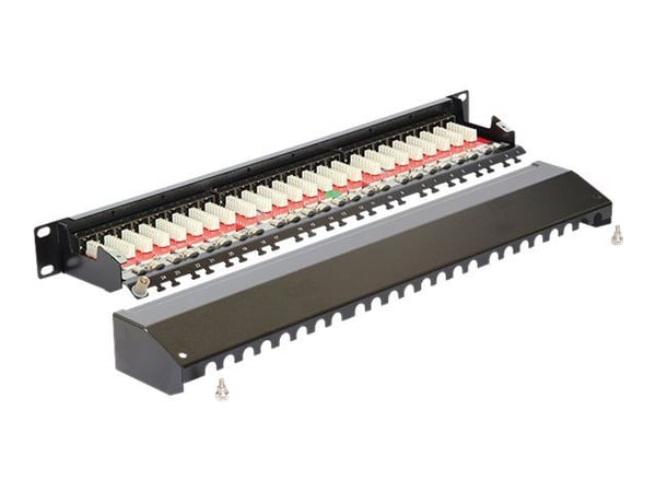 Delock - Koblingspanel - CAT 6a - RJ-45 X 24 - kullsort, RAL 9005 - 1U - 19"