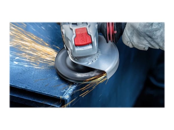 Bosch Expert R781 - Slipeskive - for rustfritt stål, stål - 5 stk - 125 mm - kornstørrelse: 80 - for GWX Professional 750-125