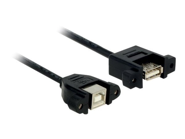 Delock - USB-sovitin - USB (hun) til USB Type B (hun) - USB 2.0 - 25 cm - lajittelu - lajittelu