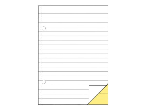 Avery Zweckform - Dupliseringsbok - 40 ark - A5 (148 x 210 mm) - dublett - karbonfri