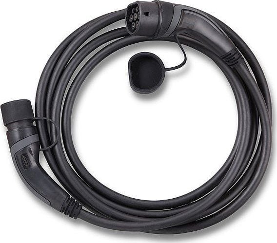FRONIUS 4,240,180 Typ 2-kabel 5 m (4,240,180)