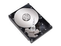 Lenovo - Hårddisk - 500 GB - hot-swap - 2.5" SFF Slim - SATA 3Gb/s - 7200 rpm - för BladeCenter HS22; System x3400 M2; x3500 M2; x35XX M3; x3650 M2...