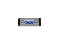 goobay - VGA-adapter - HD-15 (VGA) (hunn) til DVI-A (hann) - tommelskruer