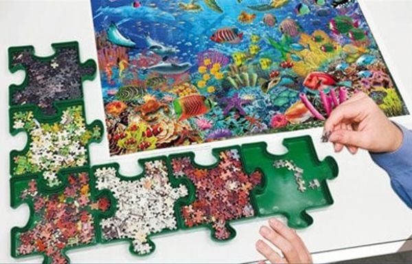 Educa Puzzle Sorter