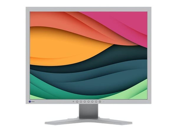EIZO FlexScan S2134 - LED-skjerm - 21.3" - 1600 x 1200 @ 60 Hz - IPS - 500 cd/m² - 1600:1 - 6 ms - DVI-D, VGA, DisplayPort - lysegrå