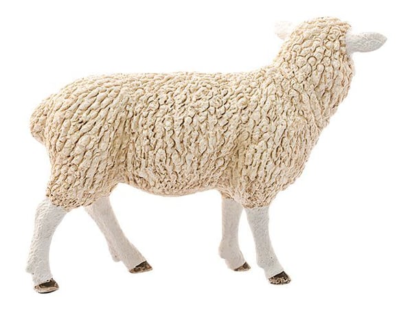 Schleich sau