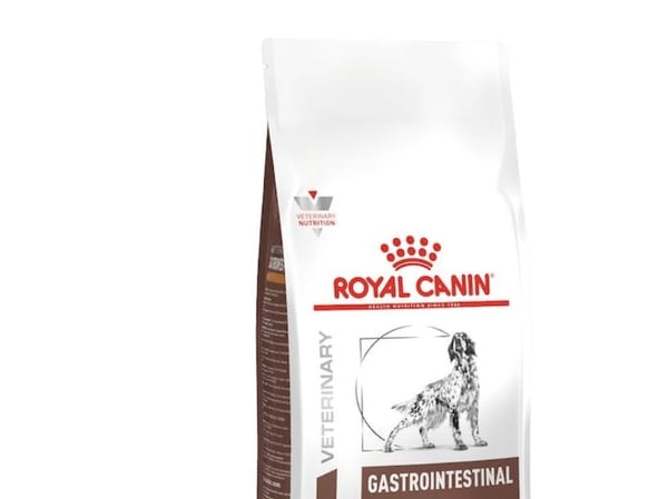 Royal Canin Gastrointestinal Low Fat LF22 tørrfôr til hund 12 kg