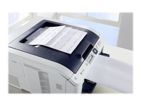 Avery Zweckform 3669 - Adhesiv - hvit - 50.8 x 70 mm 3000 etikett(er) (200 ark x 15) merkelapper