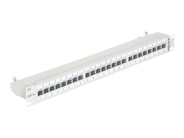 Delock - Koblingspanel - CAT 6a - RJ-45 X 24 - lysegrå, RAL 7035 - 1U - 19"