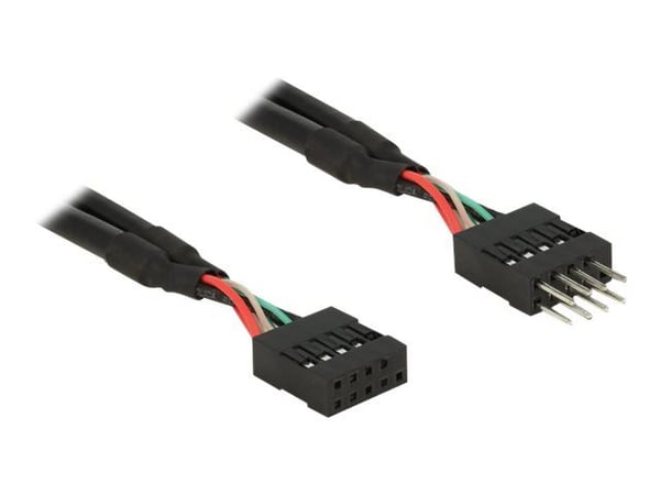 Delock USB 2.0 Pin Header - USB-internkabel - 10-stifts USB-överdel (hona) till 10-stifts USB-överdel (hane) - 50 cm - svart