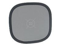 Lastolite Ezybalance - Fargebalansekalibreringsskive
