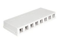 Delock Keystone Surface Mounted Box - Chassi med modulär insättning - vit - 8 portar