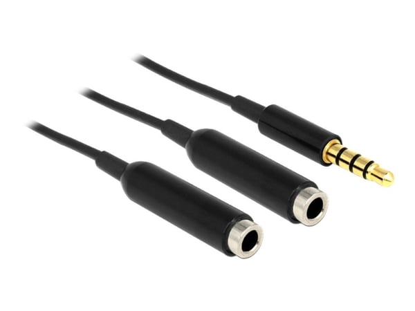 DeLOCK 65575, 3.5mm, Uros, 2 x 3.5mm, Naaras, 0,25 m, Musta