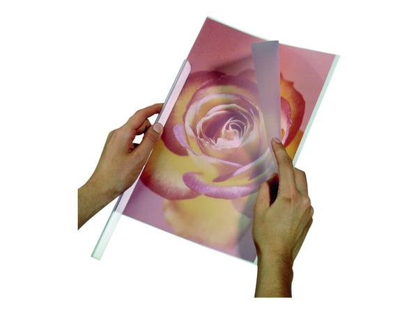 DURABLE - Diabildspärm - för A4 (210 x 297 mm) - kapacitet: 30 ark - transparent (paket om 100) - för P/N: 2919-03, 2919-06, 2919-19, 2939-19, 2943-19