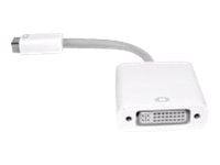 Qoltec 50517, 0,17 m, Mini-DVI, DVI, Uros, Naaras, Valkoinen
