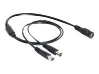 Delock - Strøm-splitter - DC jackstik 5,5 x 2,1 mm (han) til DC jackstik 5,5 x 2,1 mm (hun) - 50 cm