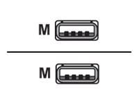 Datalogic - USB-kabel - USB (hane) till USB (hane) - 2.4 m - lindad - svart