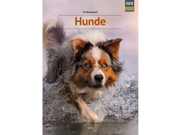 Hundar | Per Østergaard | Språk: Danska