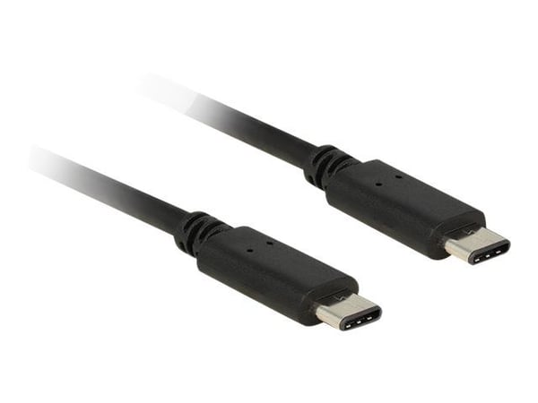 Delock - USB-kabel - USB-C (hann) til USB-C (hann) - USB 2.0 - 50 cm - svart