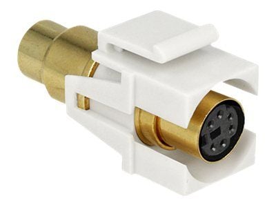 Delock - Modulinnlegg - PS/2