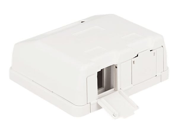 Delock Keystone Surface Mounted Box - Chassi med modulär insättning - vit - 2 portar